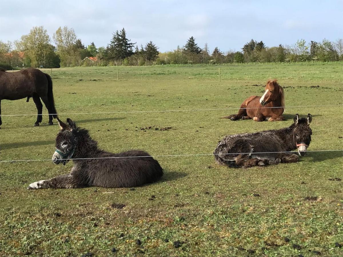 Bb-Vadehavet Ferielejlighed Til 6 Personer Ved Nationalpark Vadehavet Рибе Екстериор снимка